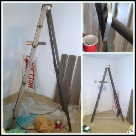 Painting Ladder Shelf